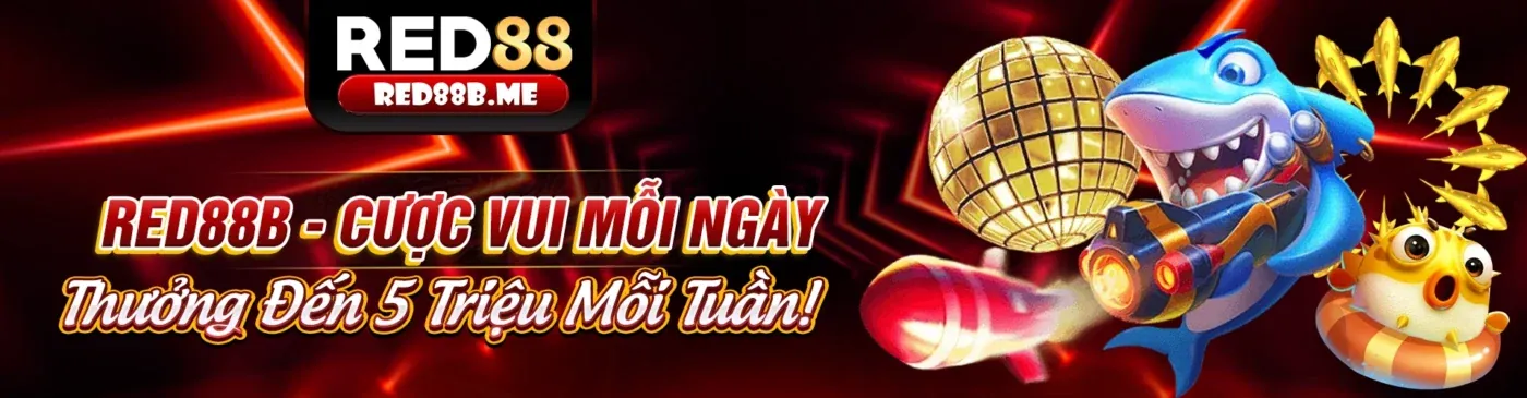 Người chơi đang xem xét các quy tắc cá cược có trách nhiệm tại Sky88 login