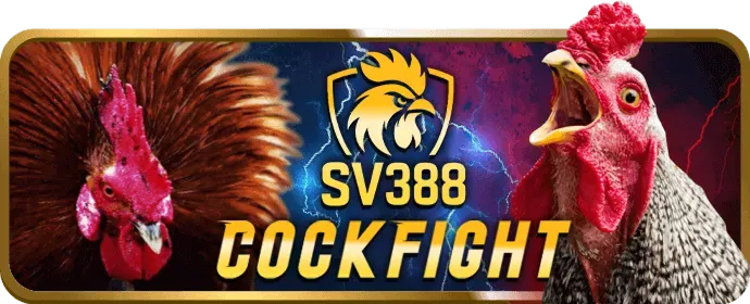 Điều Kiện Minh Bạch